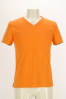 BURBERRY BLACK LABEL VネックTシャツの買取実績